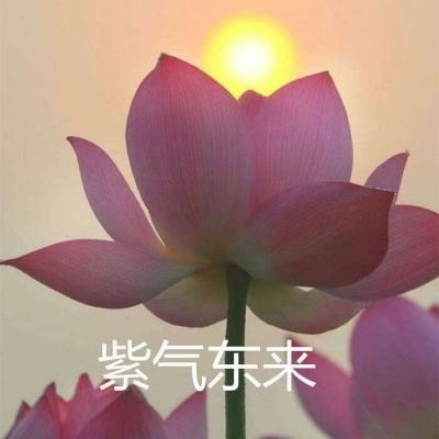 仙剑单机版手游充值内购破解版下载